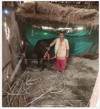 Animal husbandry
